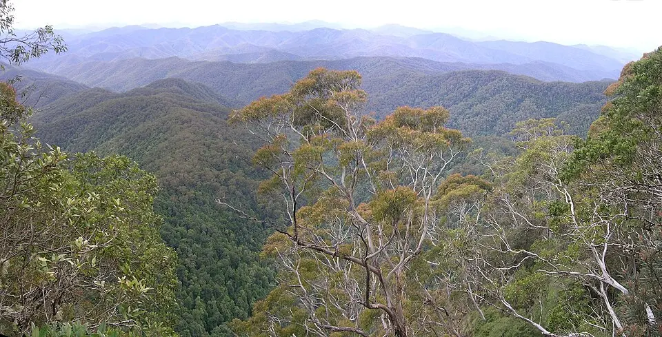 New England National Park