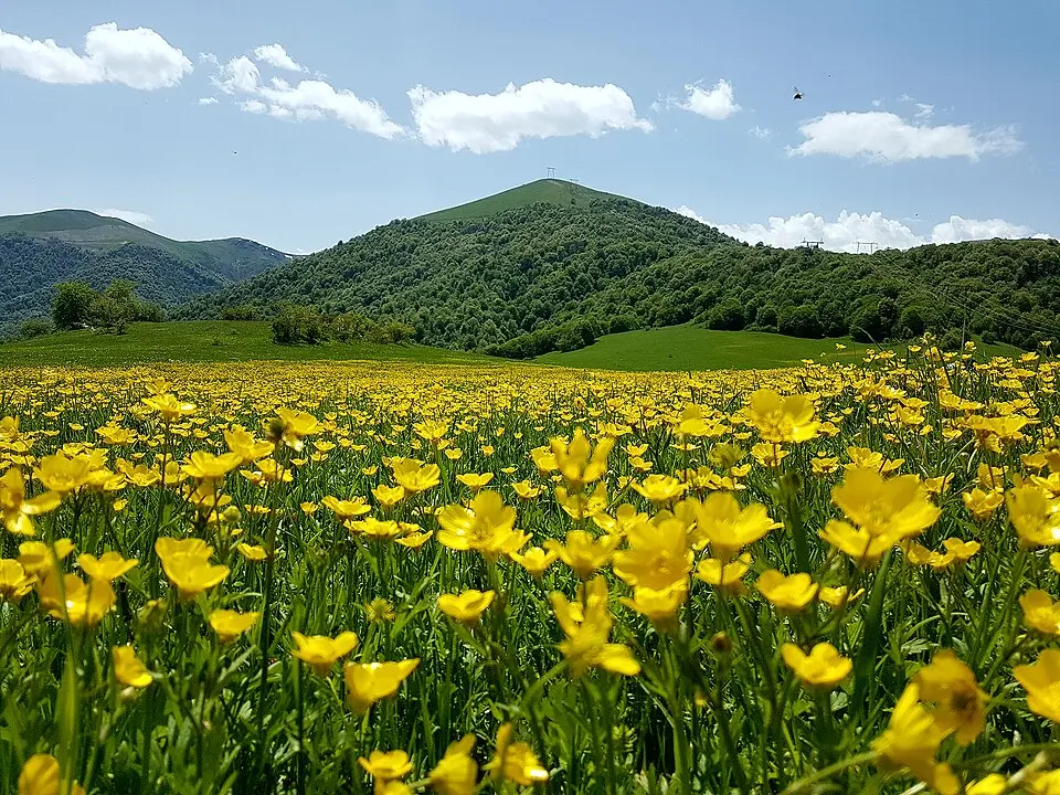 Dilijan National Park