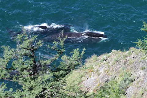 Shantar Islands National Park