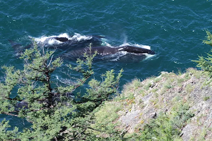 Shantar Islands National Park