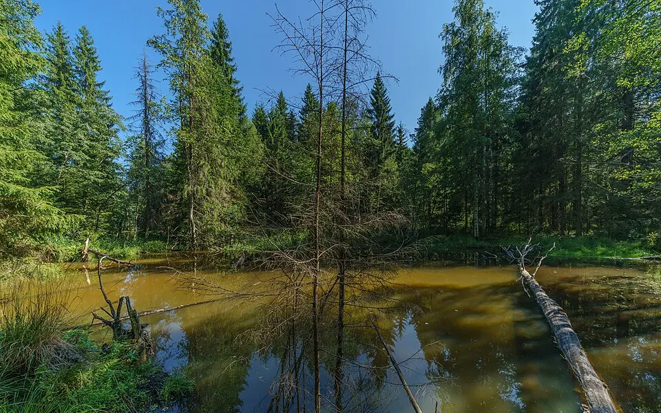 Valdaysky National Park