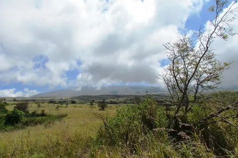 Mount Tambora National Park