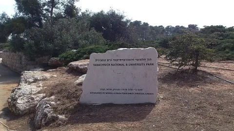 Tabachnik Garden