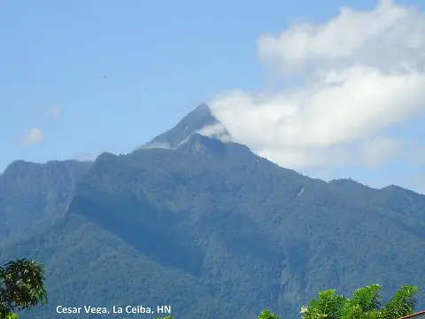 Pico Bonito National Park