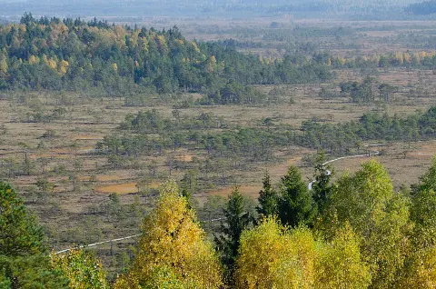 Torronsuo National Park