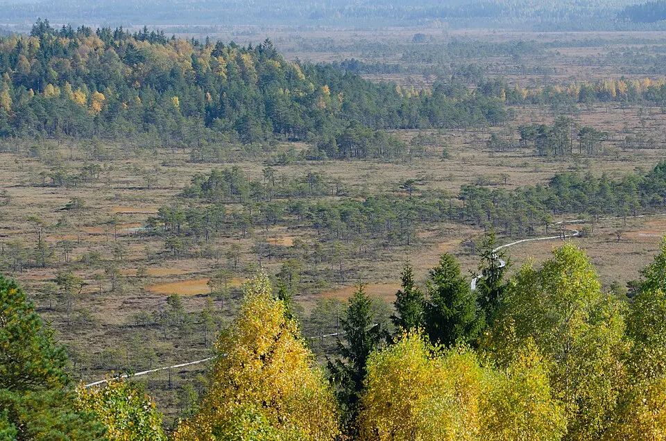 Torronsuo National Park