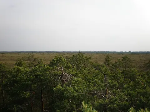 Puurijärvi-Isosuo National Park