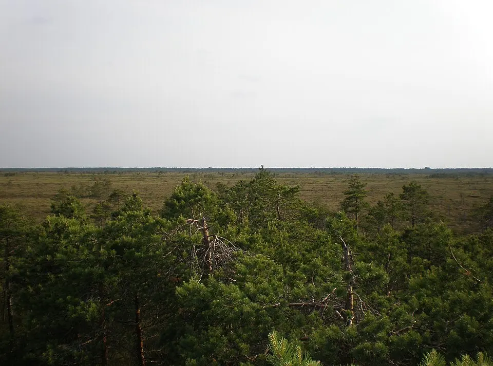 Puurijärvi-Isosuo National Park