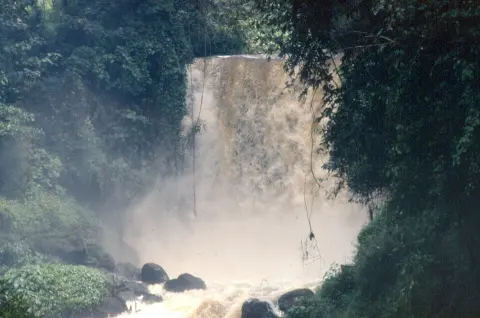 Virunga National Park