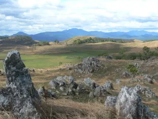 Virachey National Park