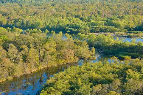 Bikin National Park