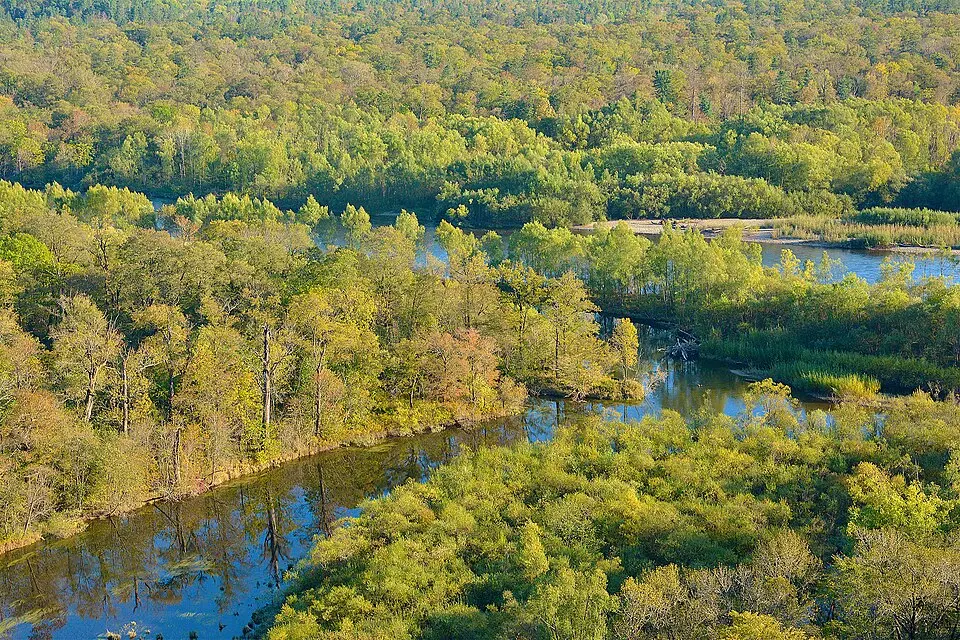 Bikin National Park