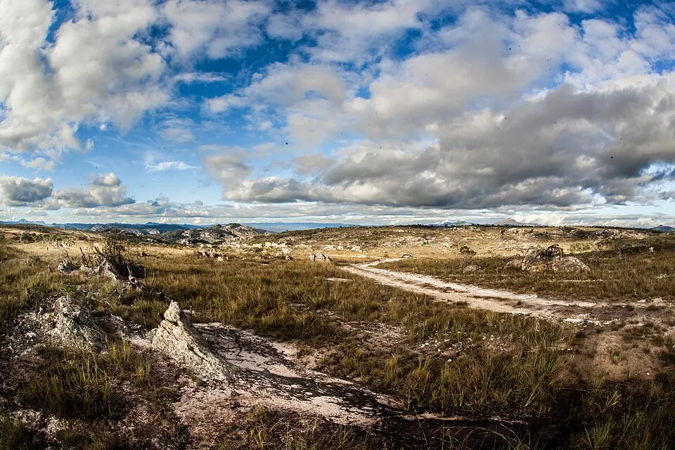 Sempre Vivas National Park