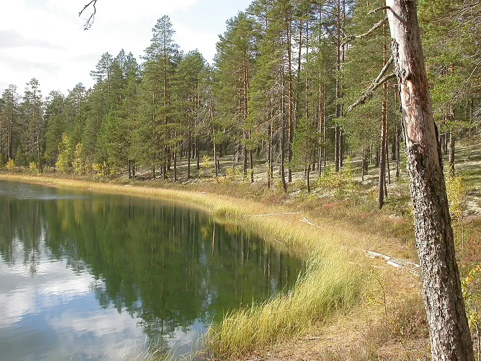Rokua National Park