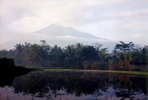 Mount Merbabu National Park