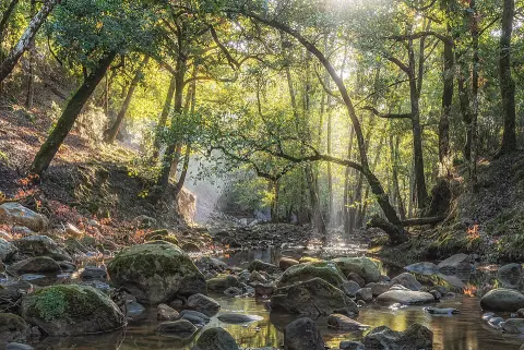 Oued Zen National Park
