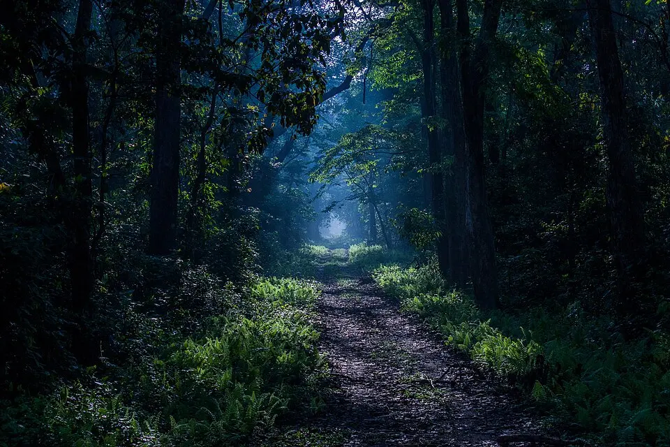 Buxa Tiger Reserve