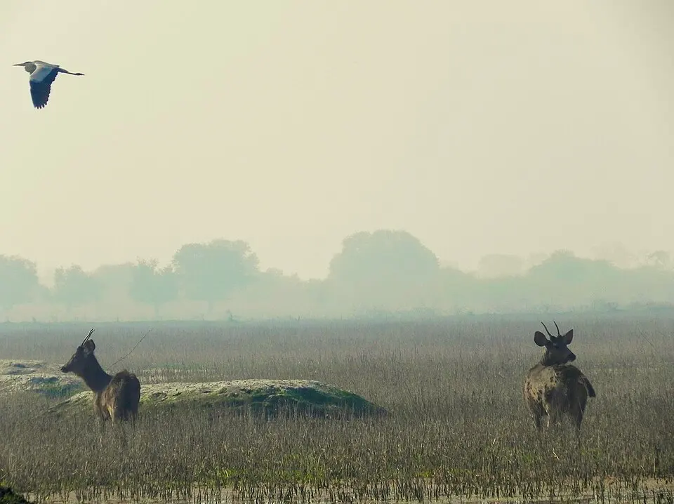 Kevladev National Park