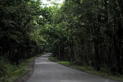 Kali Tiger Reserve