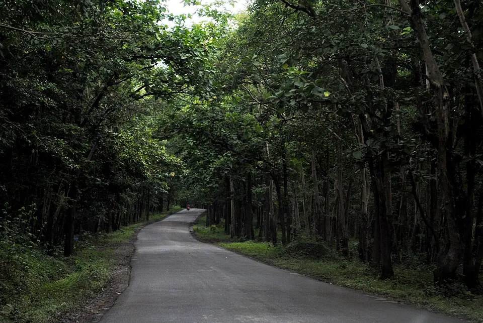 Kali Tiger Reserve