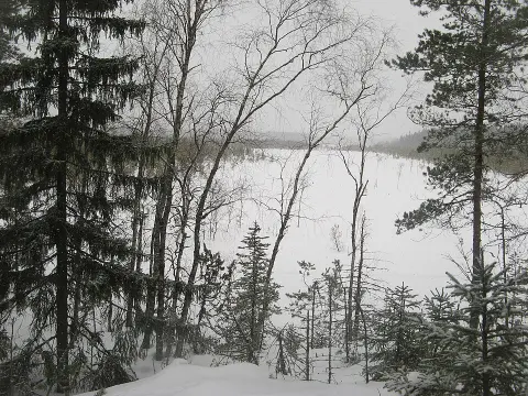 Kurjenrahka National Park