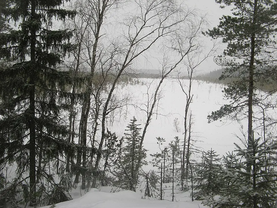 Kurjenrahka National Park