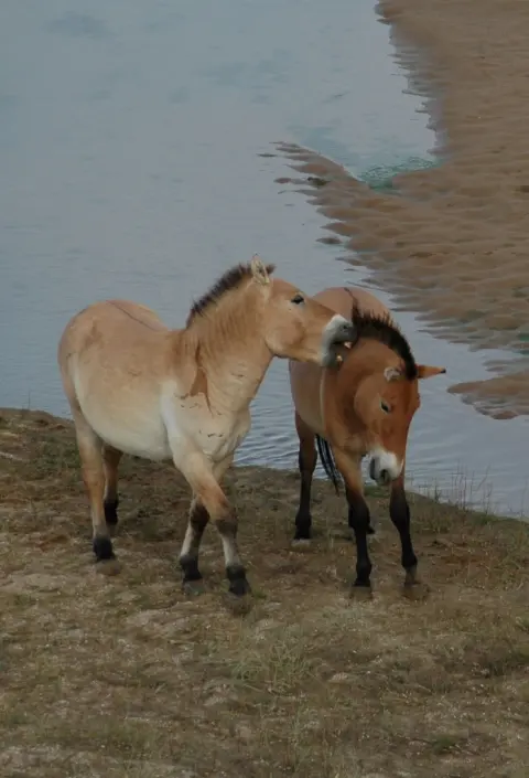 Khar Us Nuur National Park