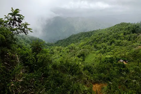 Grand Bois National Park