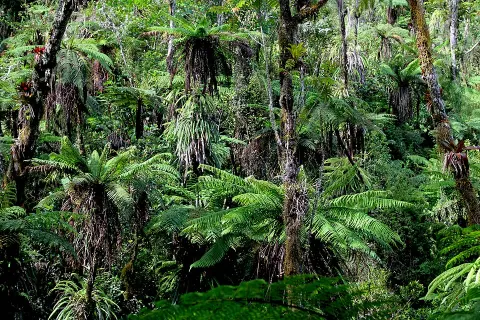 Grande Colline National Park