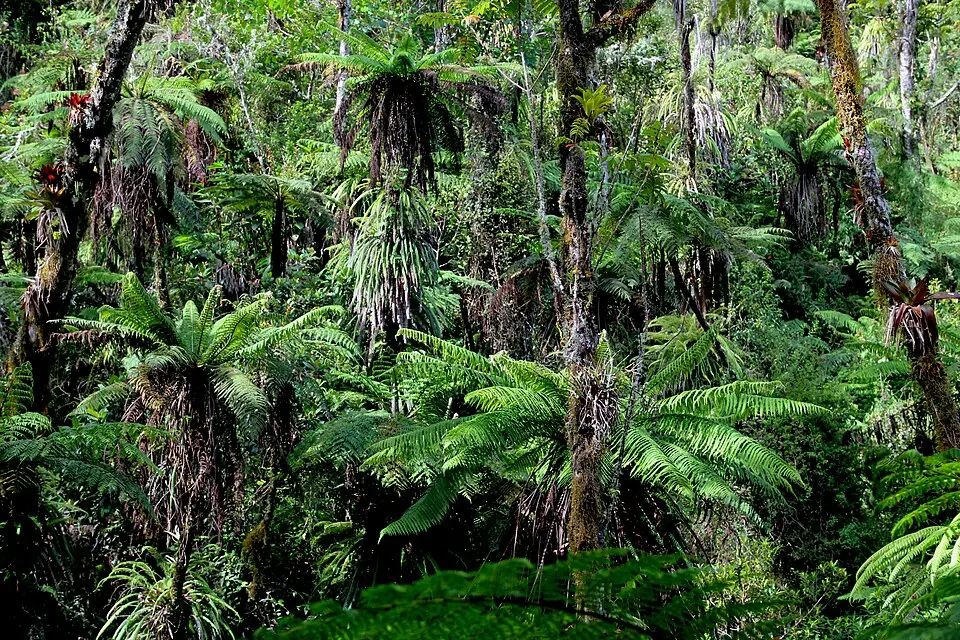 Grande Colline National Park