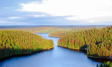 Repovesi National Park