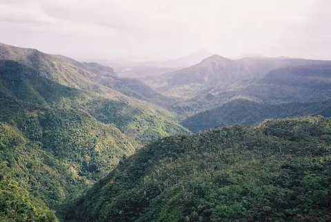 Black River Gorges National Park