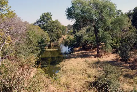 Zambezi National Park