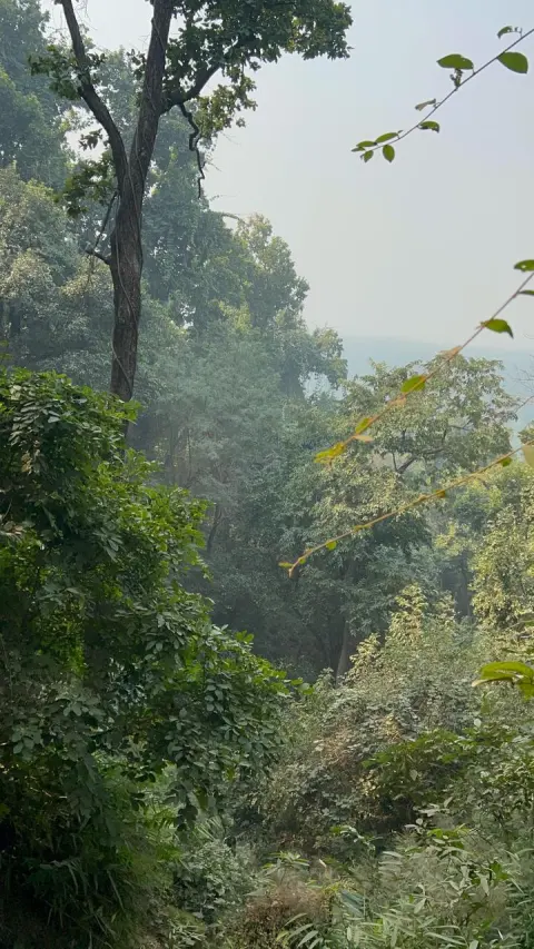 Valmiki National Park