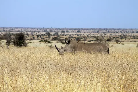 Kruger National Park