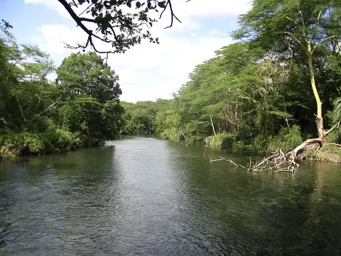 Tsavo National Park
