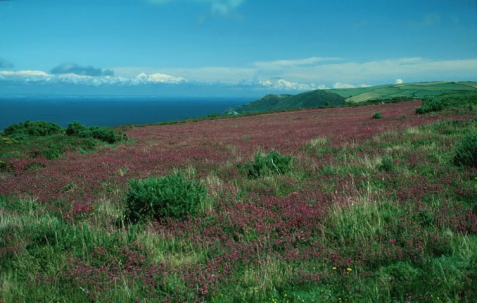 Exmoor National Park