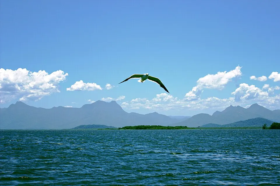 Guaricana National Park