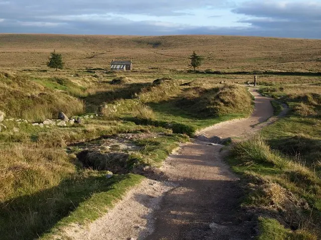 Dartmoor National Park