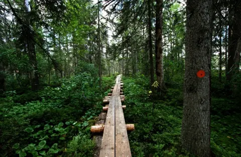 Petkeljärvi National Park