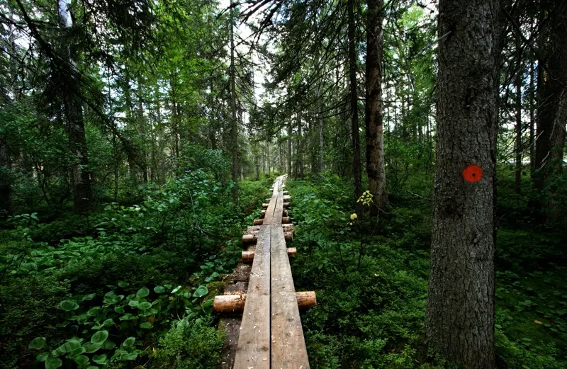 Petkeljärvi National Park