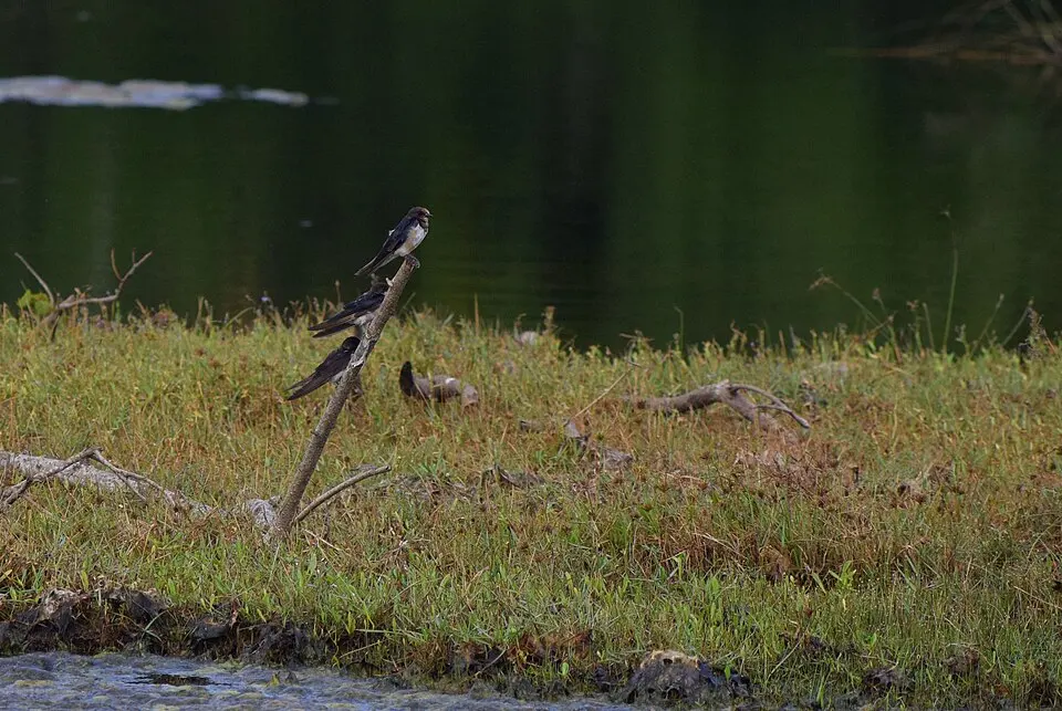 Chundikkulam National Park