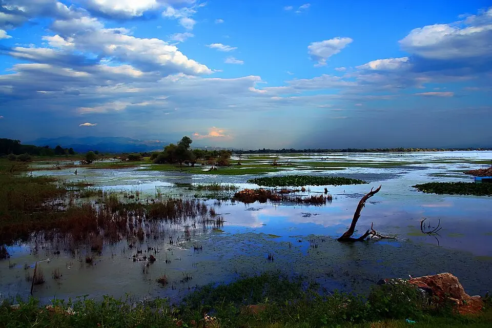 Lake Kerkini National Park