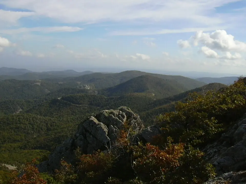 Dadia-Lefkimi-Soufli Forest National Park
