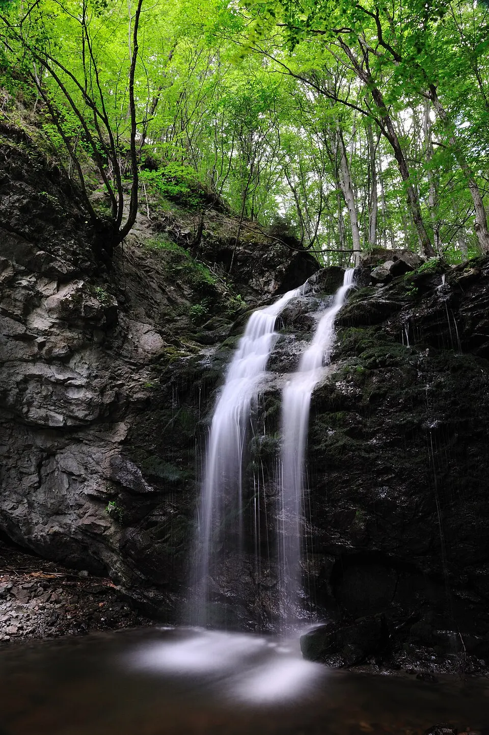 Rodopi Mountain Range National Park