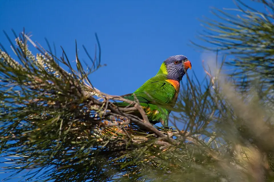 Warro National Park