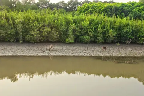 Bhitarkanika National Park