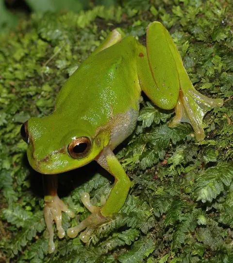 Woondum National Park