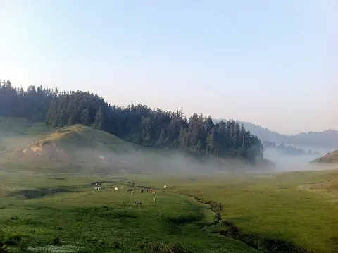 Khaptad national park