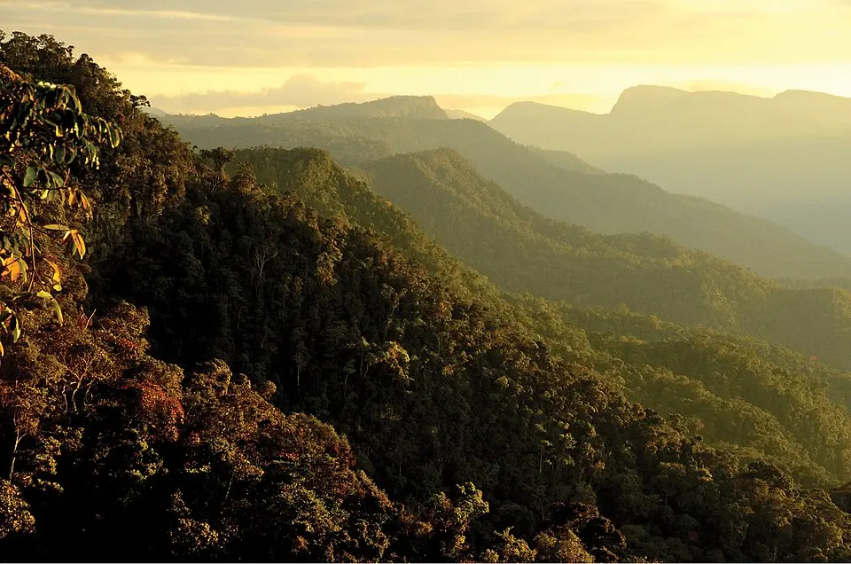 Cordillera Azul National Park